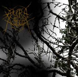 Aura Of Aquila : ...Amidst Terrifying Silence